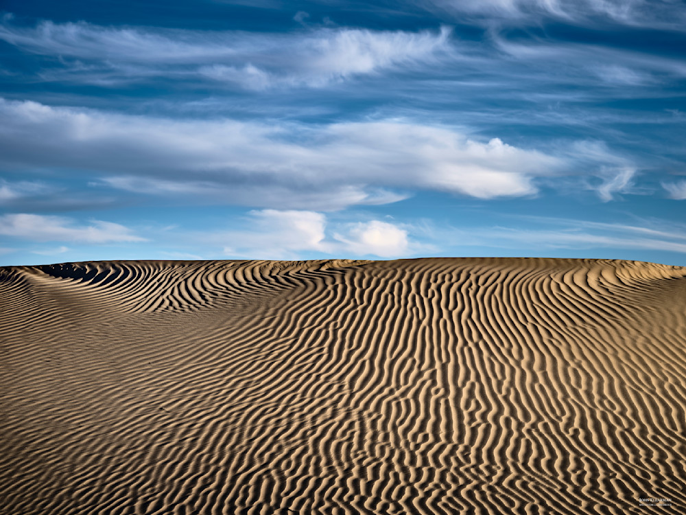 Secret Dunes Art | John Klearman Spectator And Recorder