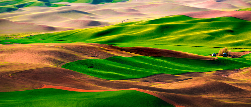 Palouse Layers