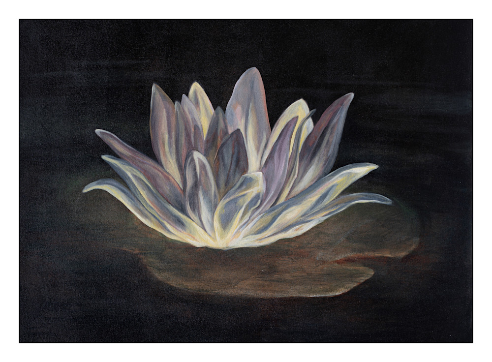Water Lily Art | Jessie Haring Fine Art