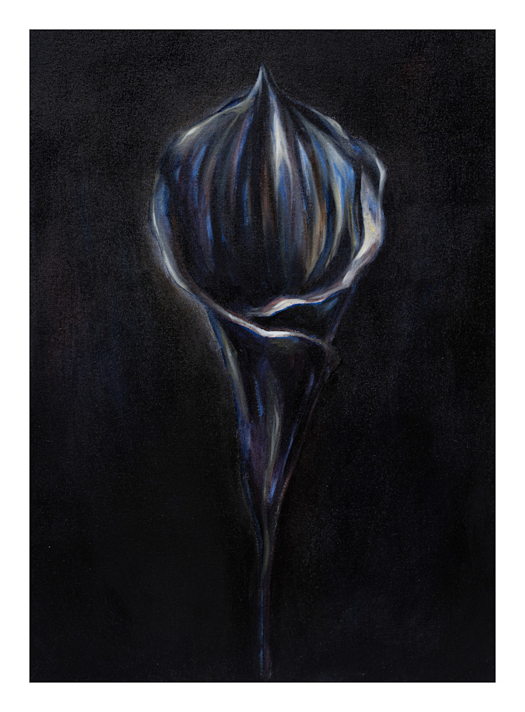 Blue Lily Art | Jessie Haring Fine Art