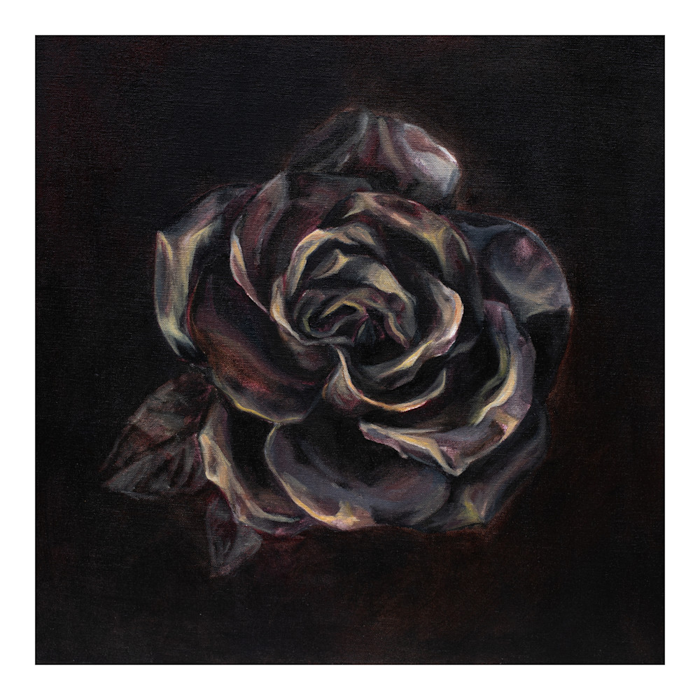 Rose  Art | Jessie Haring Fine Art