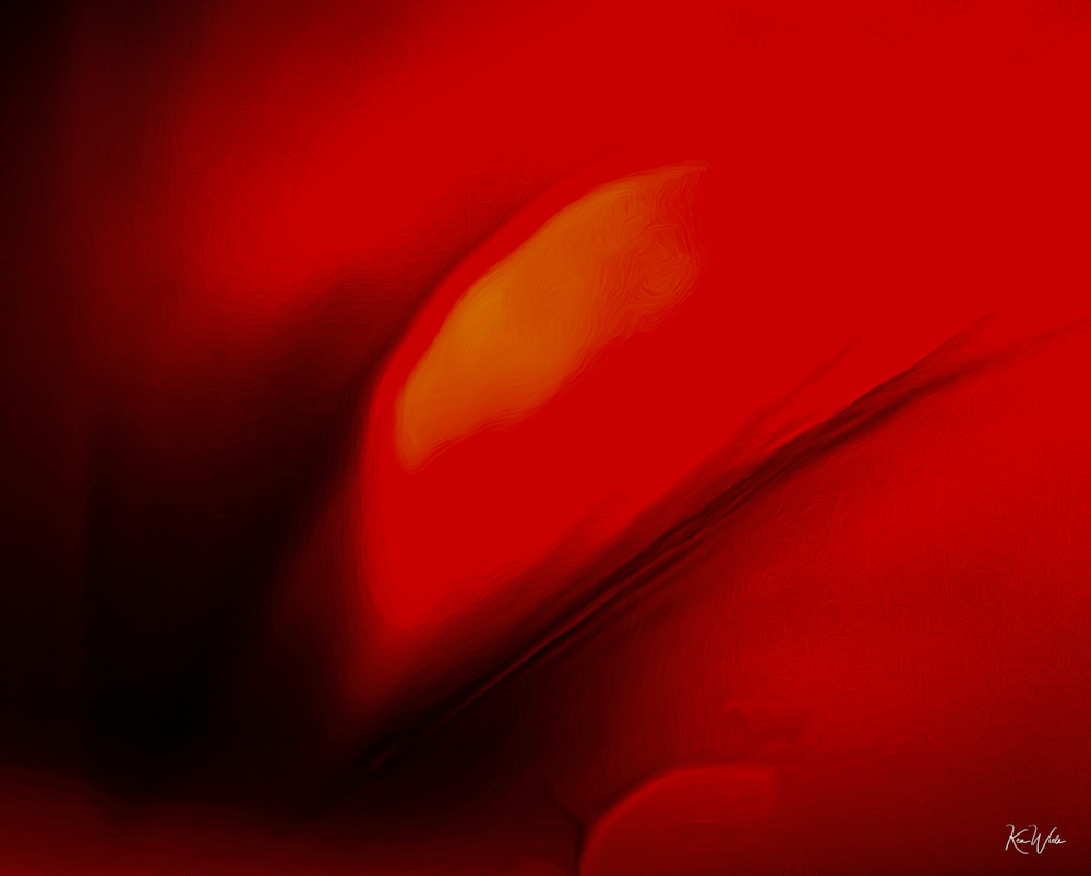Hibiscus Abstract Photography Art | Ken Wiele Photography