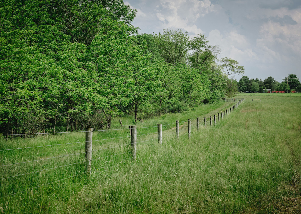 Pastoral