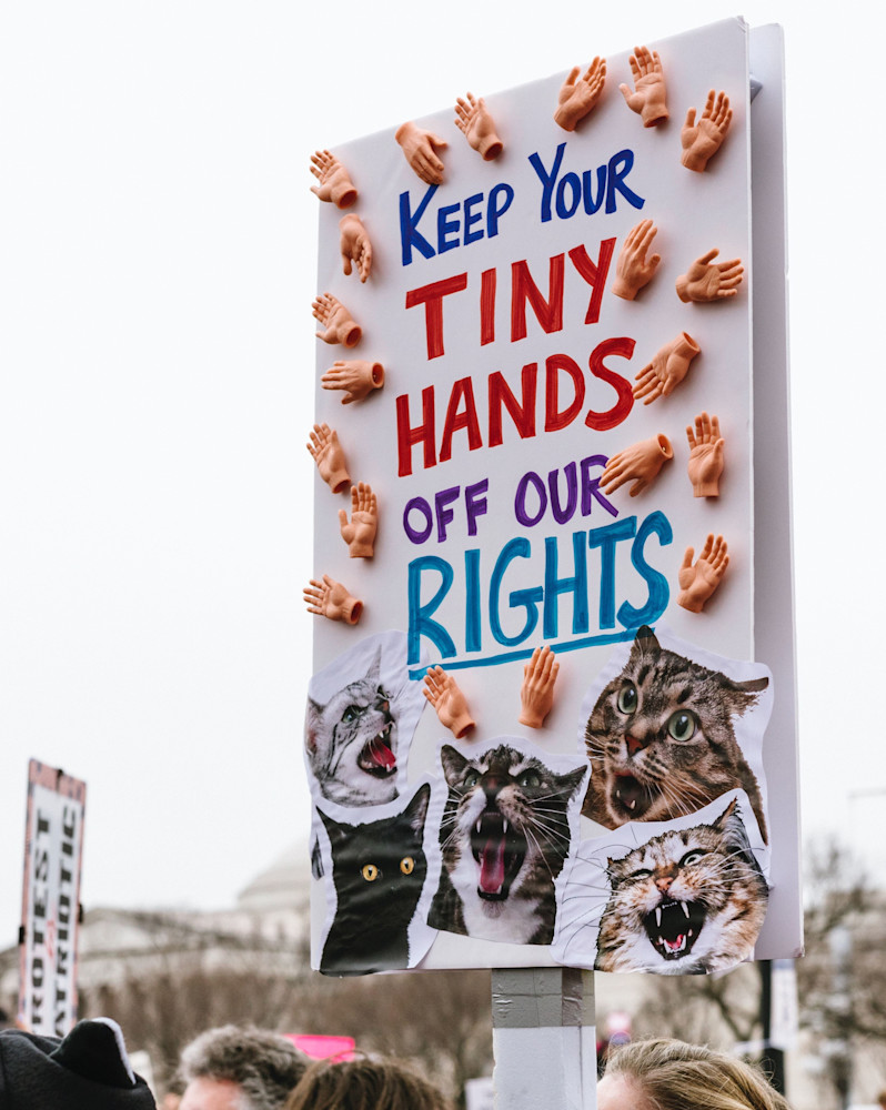 Protest sign from the 2017 Women's March in Washington, D.C., says "Keep your Tiny Hands Off Our Rights," 
