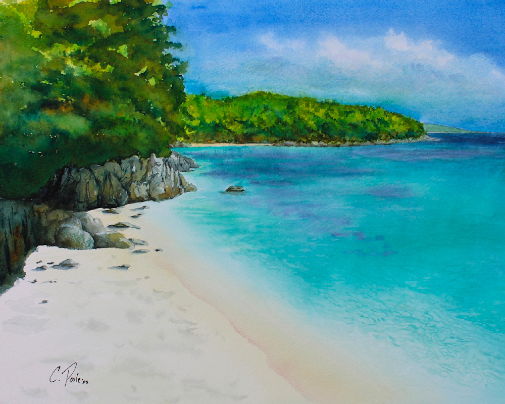 Far Side Of Trunk Bay Beach Art | Cate Poole Water Colors