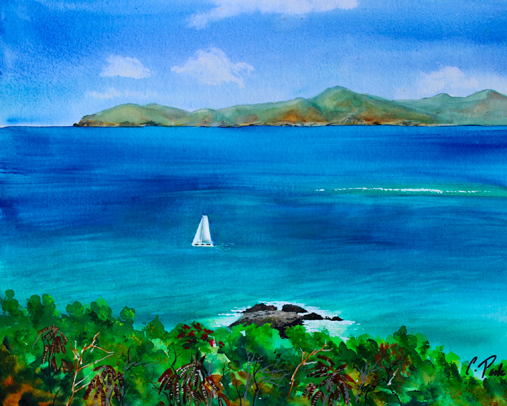 View From Peace Hill  Art | Cate Poole Water Colors