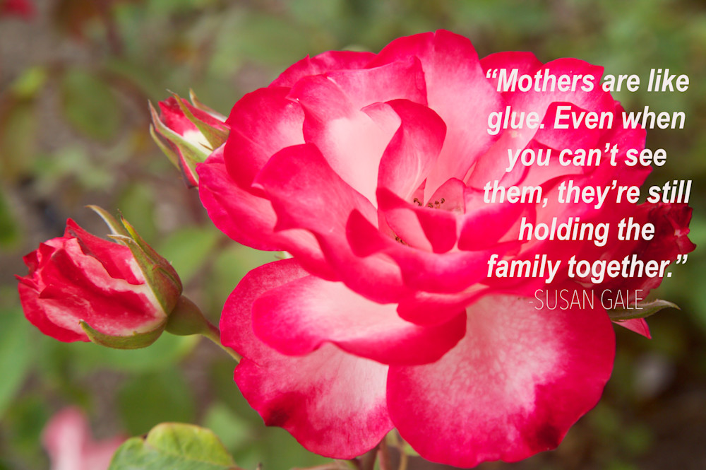 A Mother's Glue Photography Art | NKF Fine ART