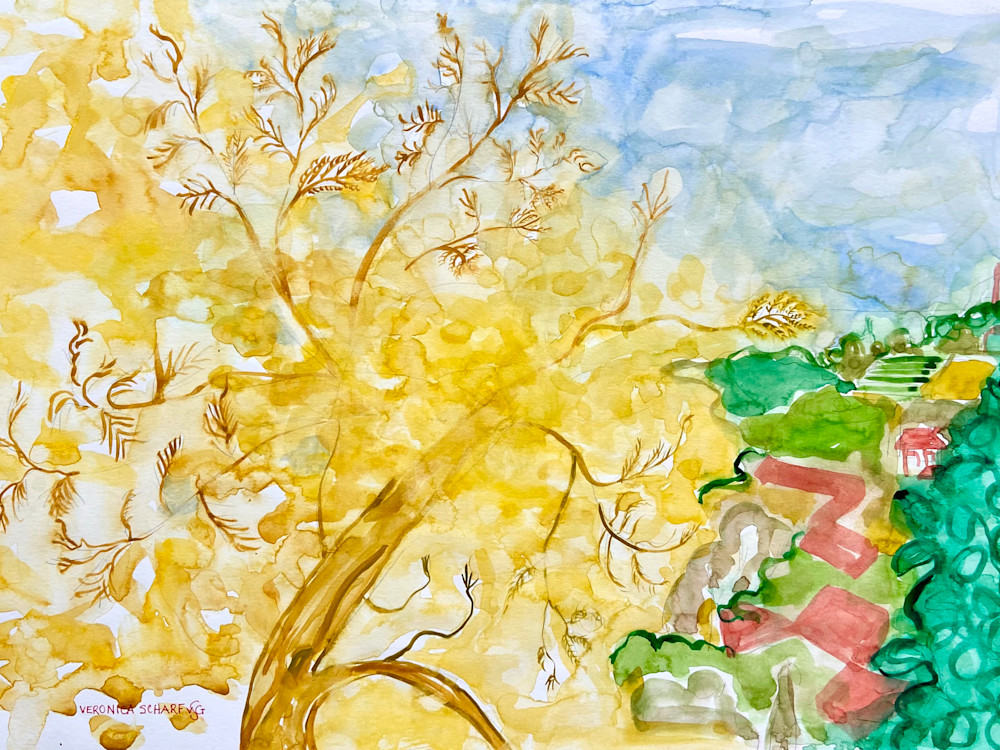 Blooming Mimosa Art | Veronica Scharf Garcia Art