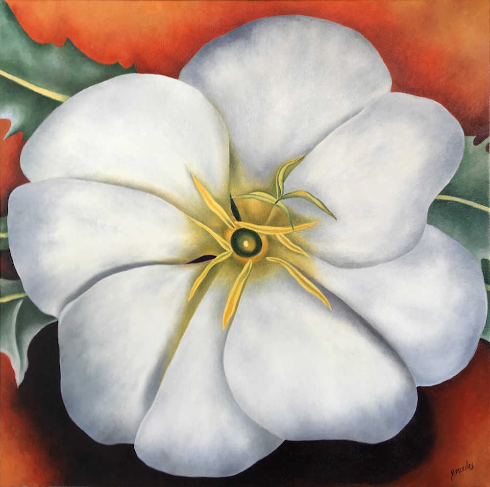 A Visit With O'keeffe   White Flower On Red Earth: Prints Art | Mercedes Fine Art