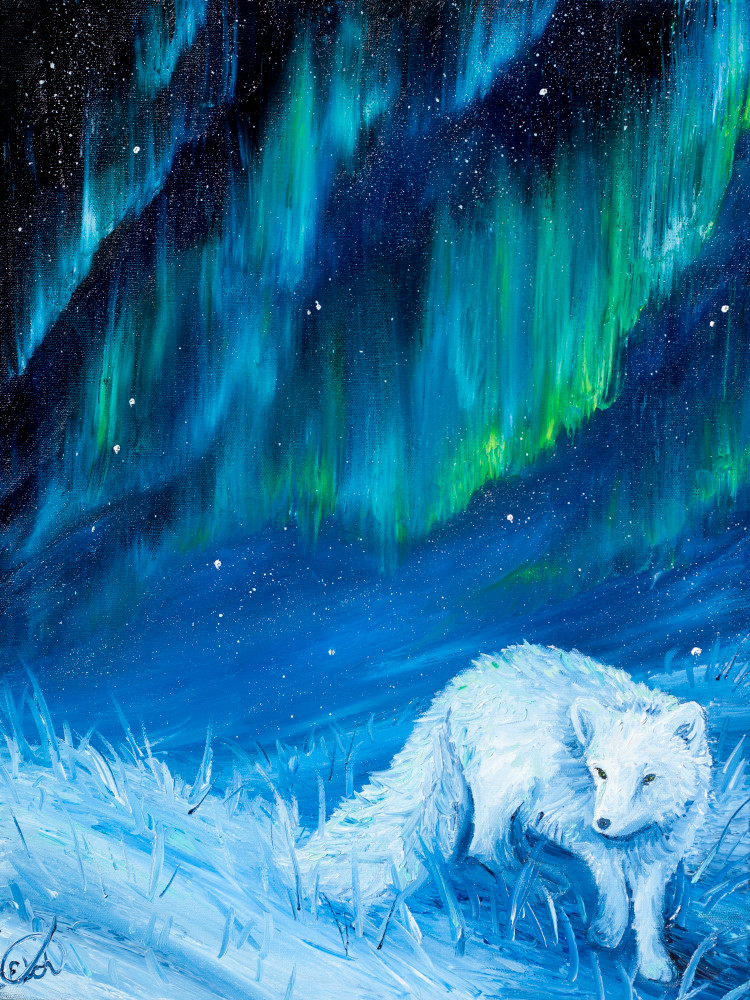 Arctic Light Art | Mordensky Fine Art