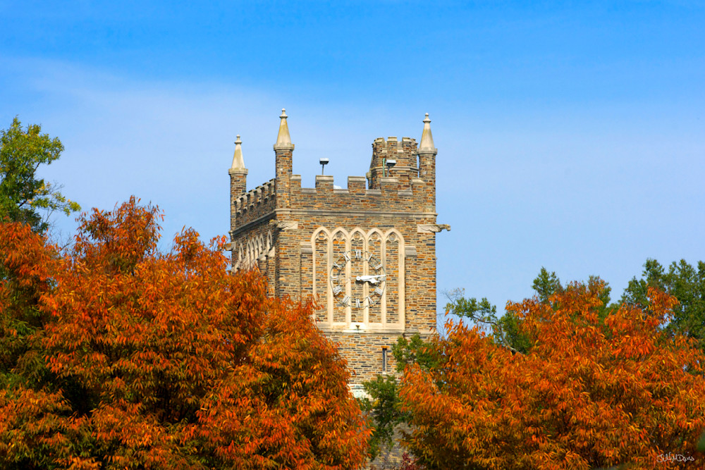 Duke Crowell Clock Tower In Autumn Photography Art | Orange Cat Art