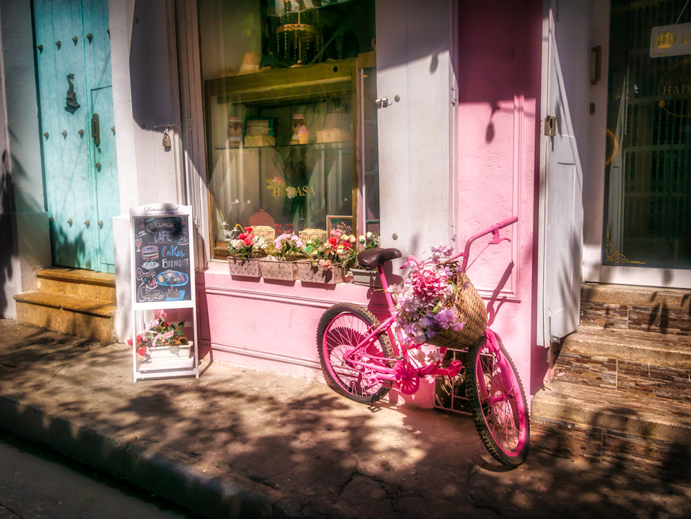 Blushing Bicycle | Susan J Photography
