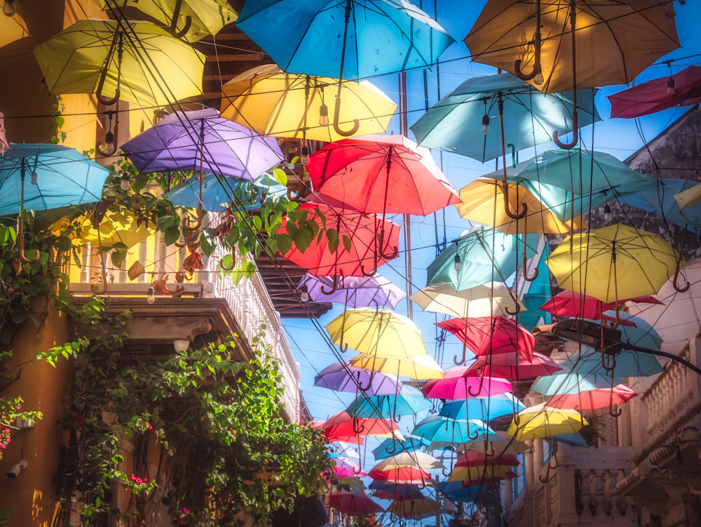 Umbrella Madness | Susan J Photography