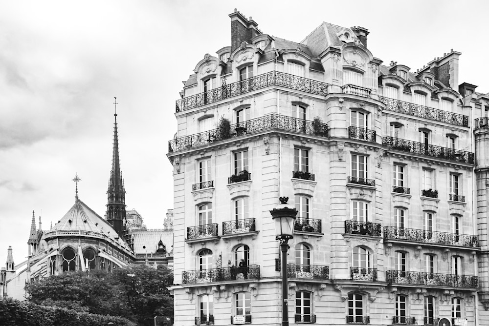 Paris Elegance - Notre Dame