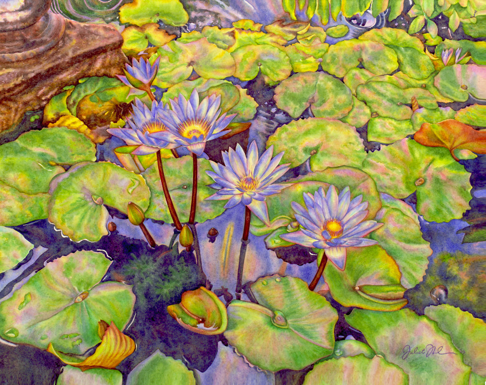 Waterlillies Art | Juliet Thorburn