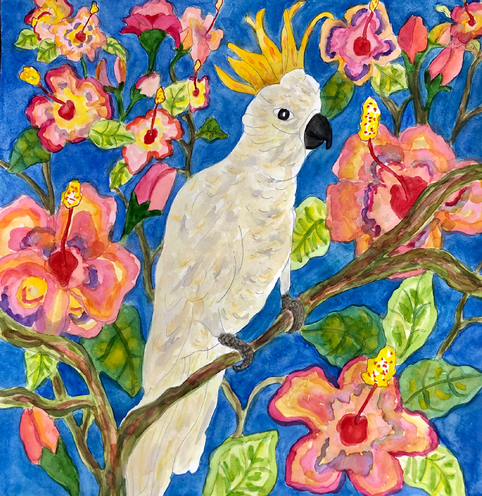 Hibisbus Cockatoo Art | Becki Thomas Art