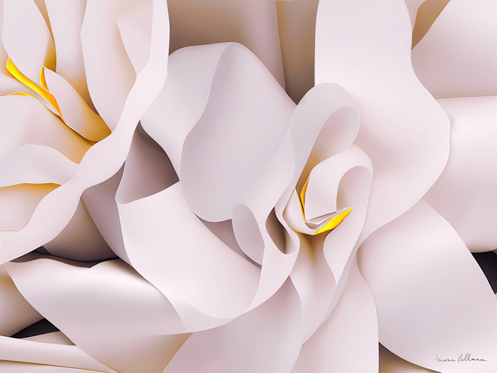 Magnolia Flower Paper Cut Art | Andrea Hellman