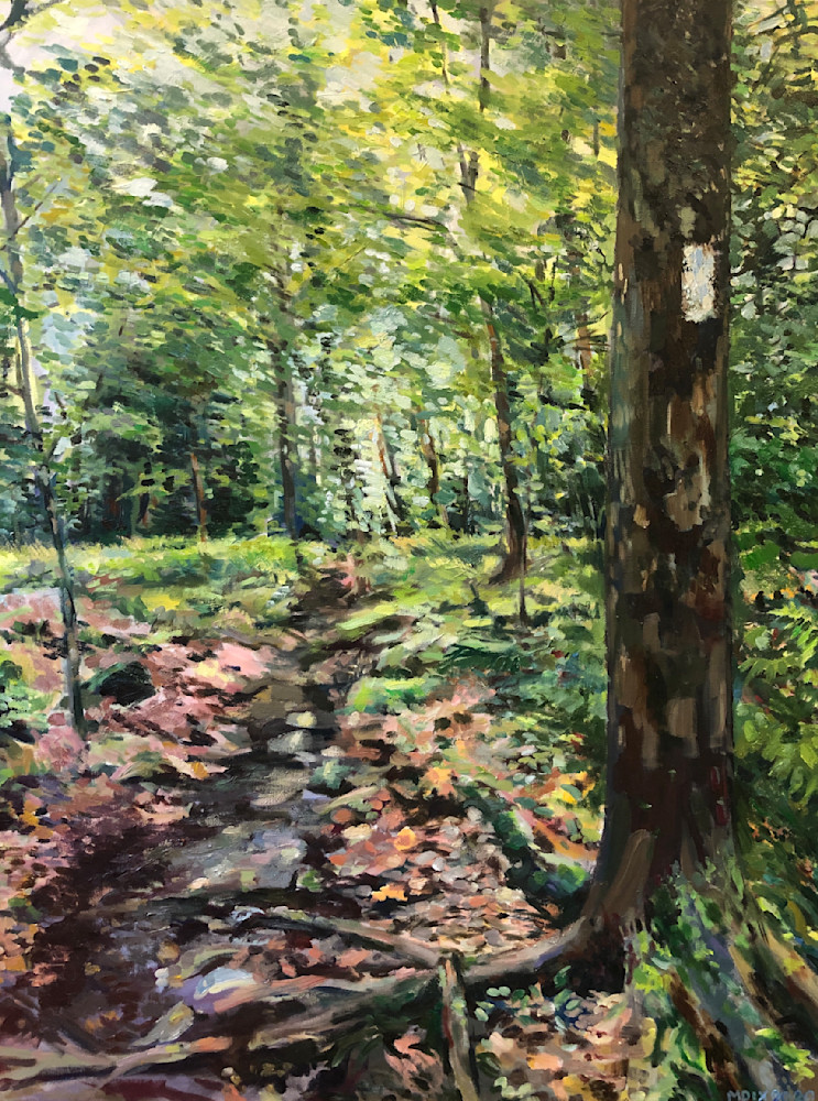 Hiking Appalachian Trial In Vermont Art | Monica Dix