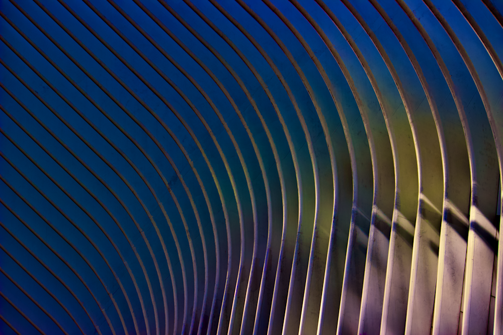Oculus Building Photography Art | Chase The Moment