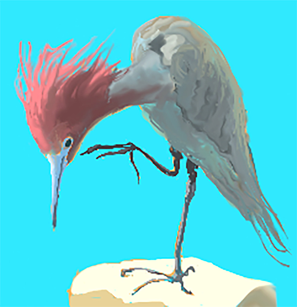reddish egret 18x18
