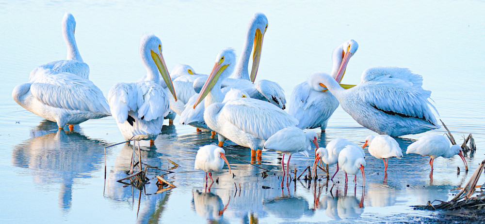 Isle Of White Photography Art | Mary Goldsmith Photography