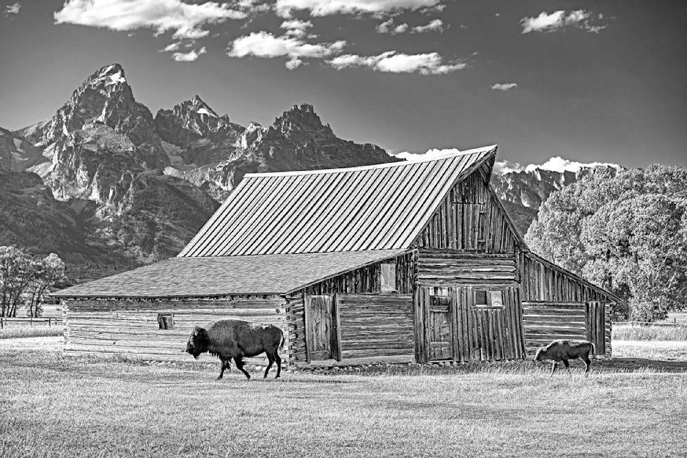 Moulton Barn Visitors Photography Art | Rob Brown Photography