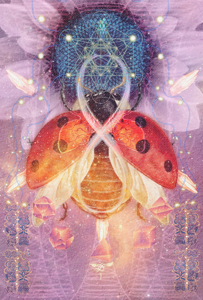 Ladybug Magic Art | Live with Love, Inc.