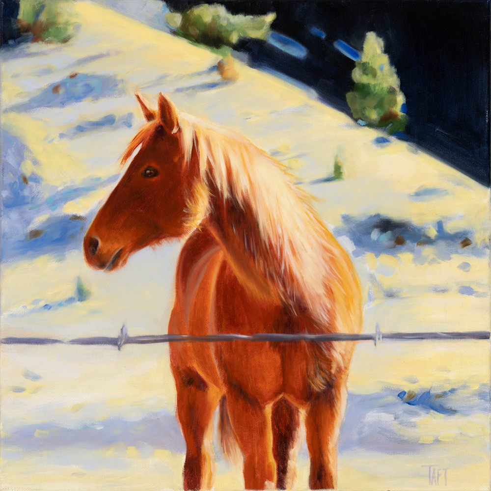 Winter Horse Art | Dawn Taft