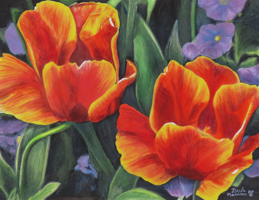 Brilliant Tulips Art | God's Transforming Grace