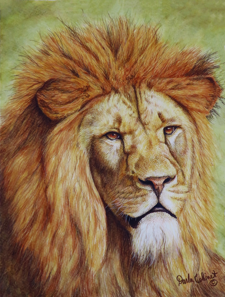 Future Lion King Art | God's Transforming Grace