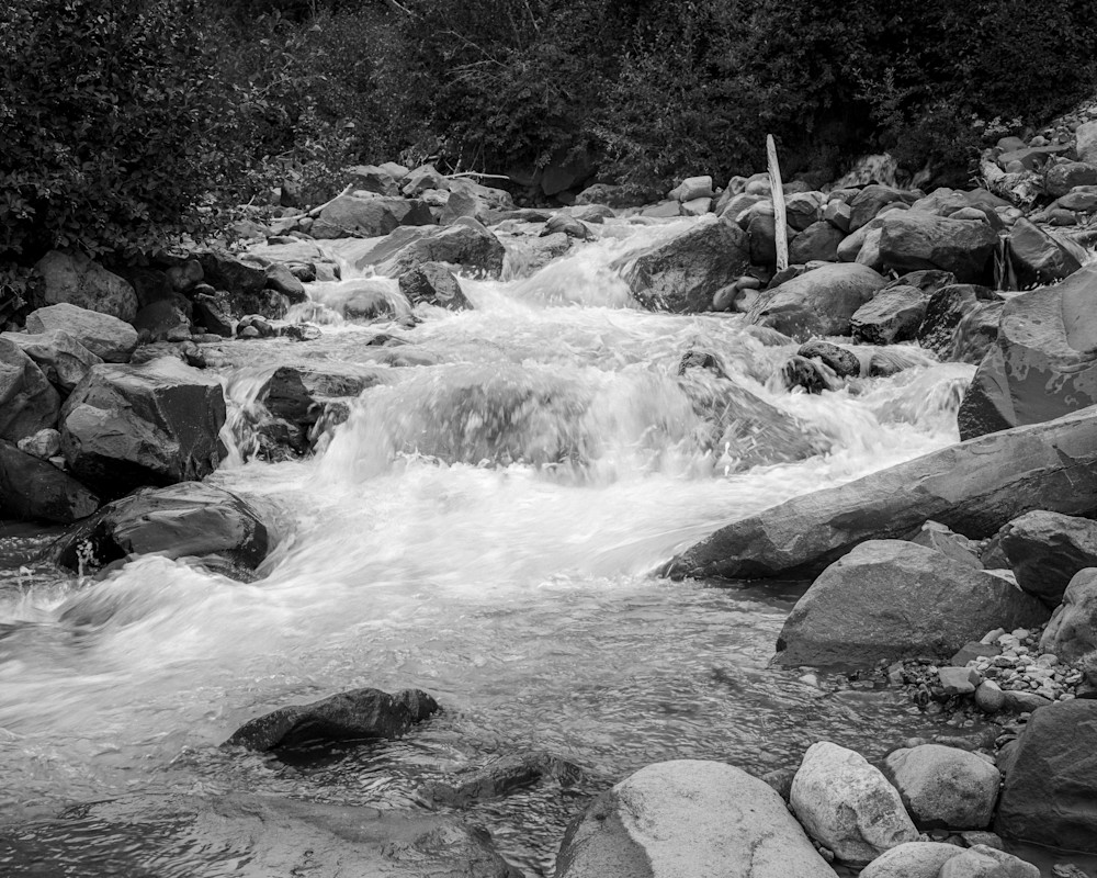 Serenity of a Mountain Stream, Mt Rainier National Park, Washington, 2022