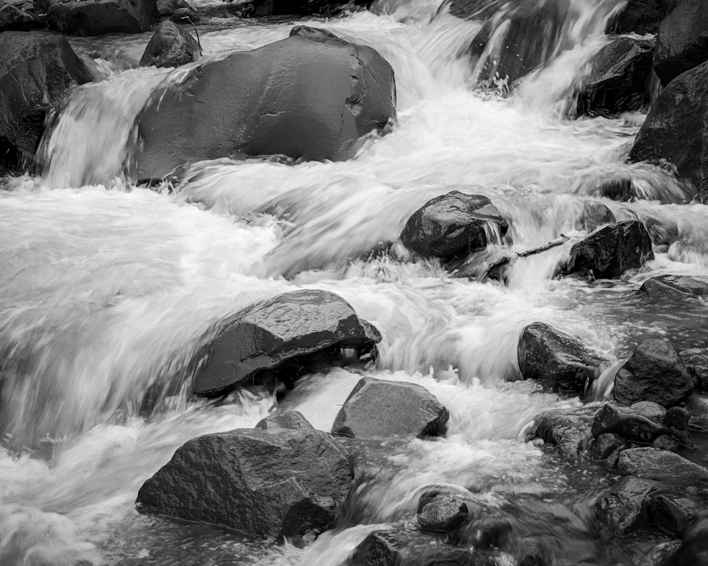 Peaceful Mountain Stream, Mt Rainier National Park, Washington, 2022