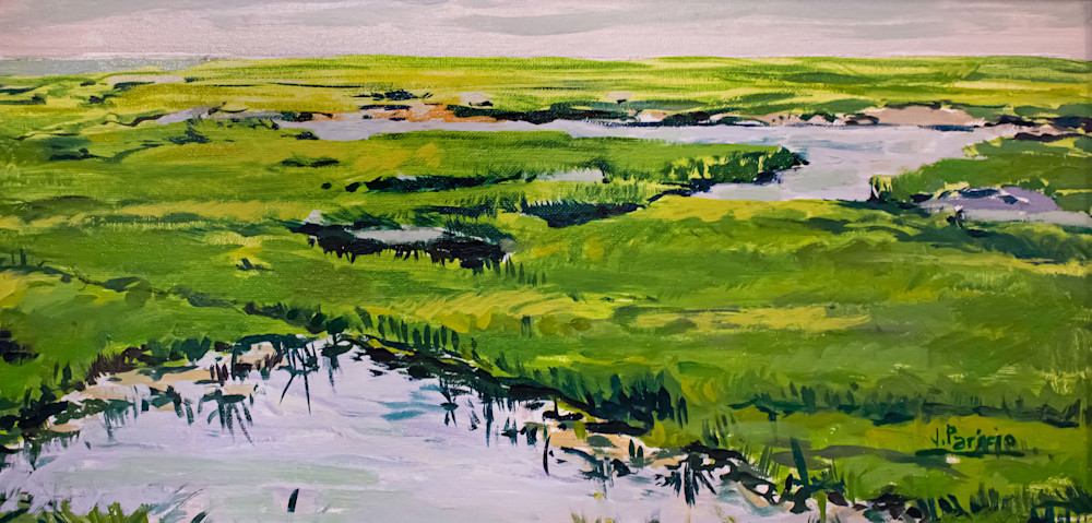 Cape Cod Marshes Art | Paricio Paint