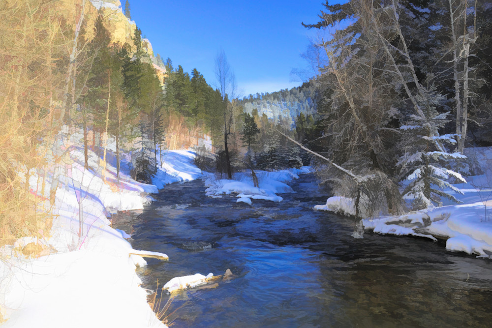 Black Hills Winter Stream