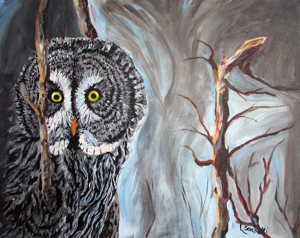 Great Grey Owl fine-art prints and merchandise | Linda Sacketti