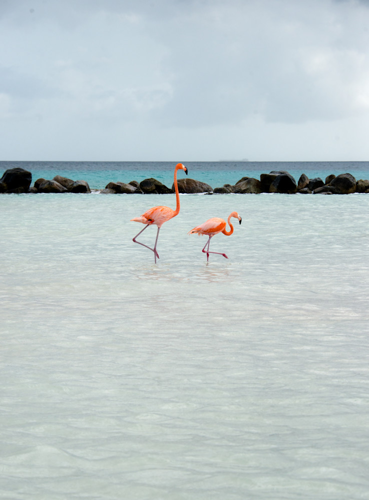 Afternoon Saunter 3 Photography Art | Susan Halpin