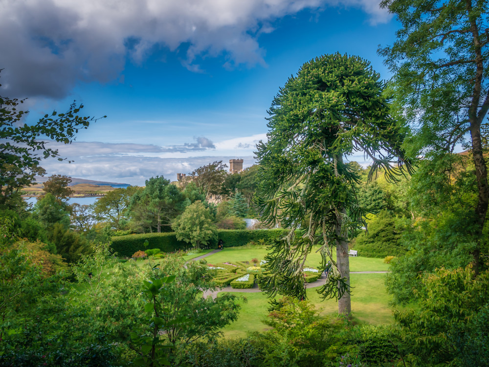 Heavenly Gardens | Susan J Photography