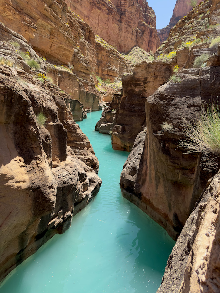 Down A Creek   Havasu Creek, Grand Canyon National Park Photography Art | Josh Lien (@joshlien27)
