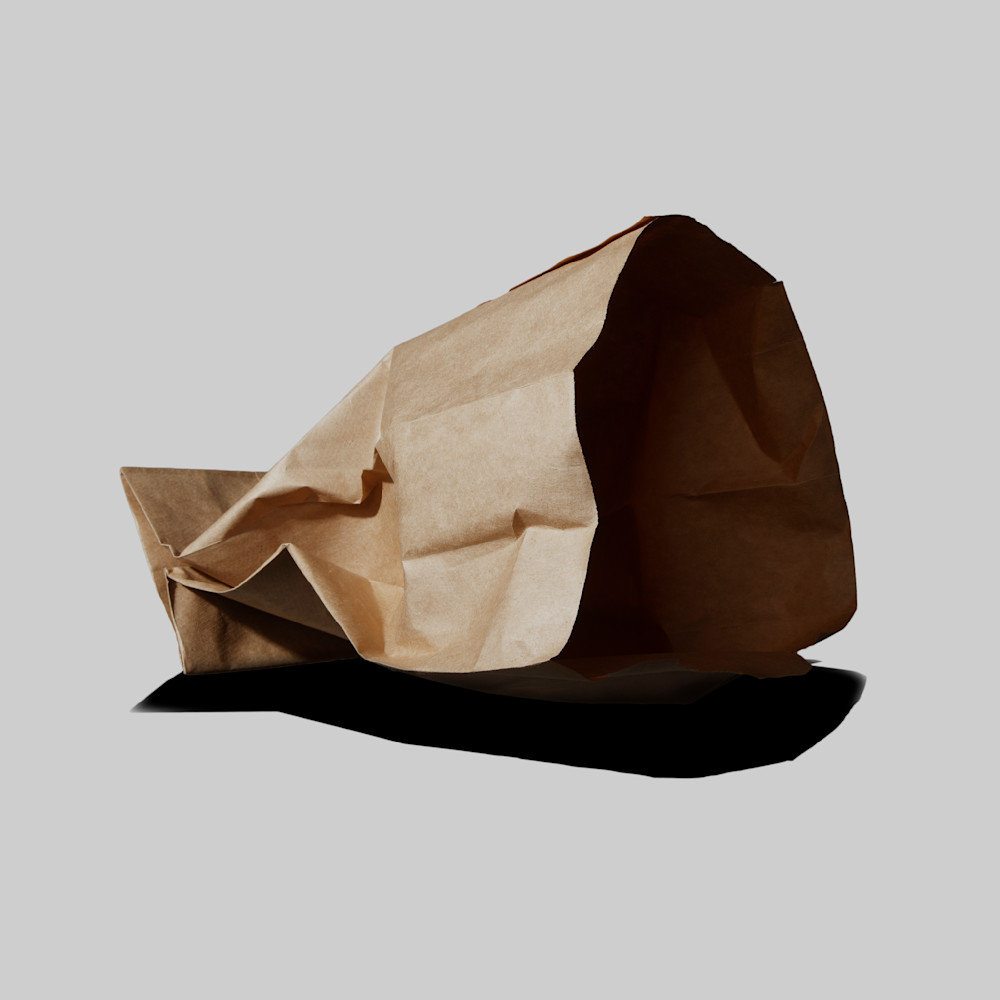Little Brown Paper Bag 6 Photography Art | Philip Holt Photography