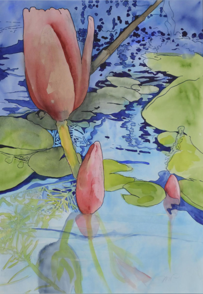 Pond Potential  Art | Margaret Park Fine Art