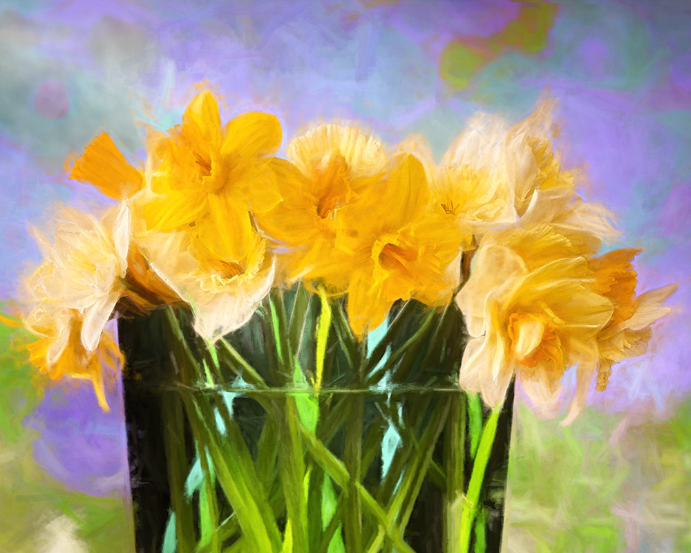 Daffodils 1 Art | Light Pixie Studio