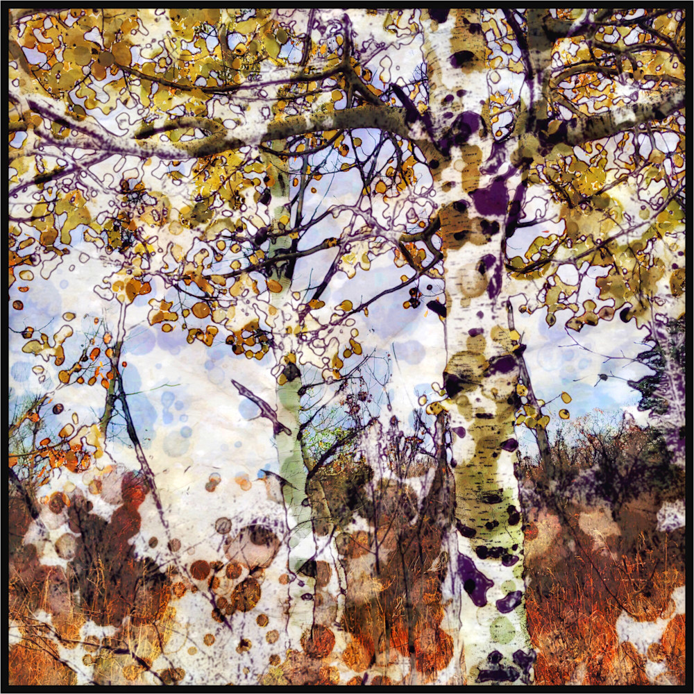 Speckled Poetry Art | photographicsart