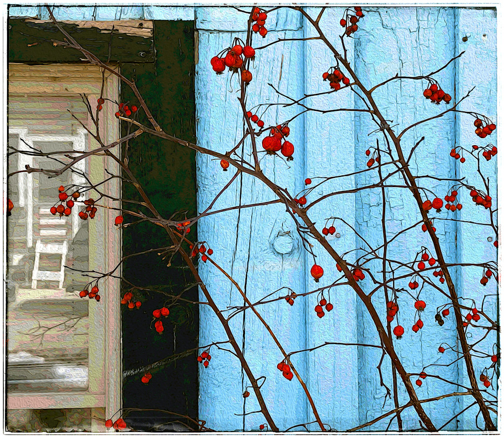 Berries Art | photographicsart