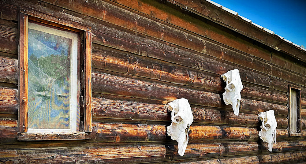 Three Amigos Art | photographicsart