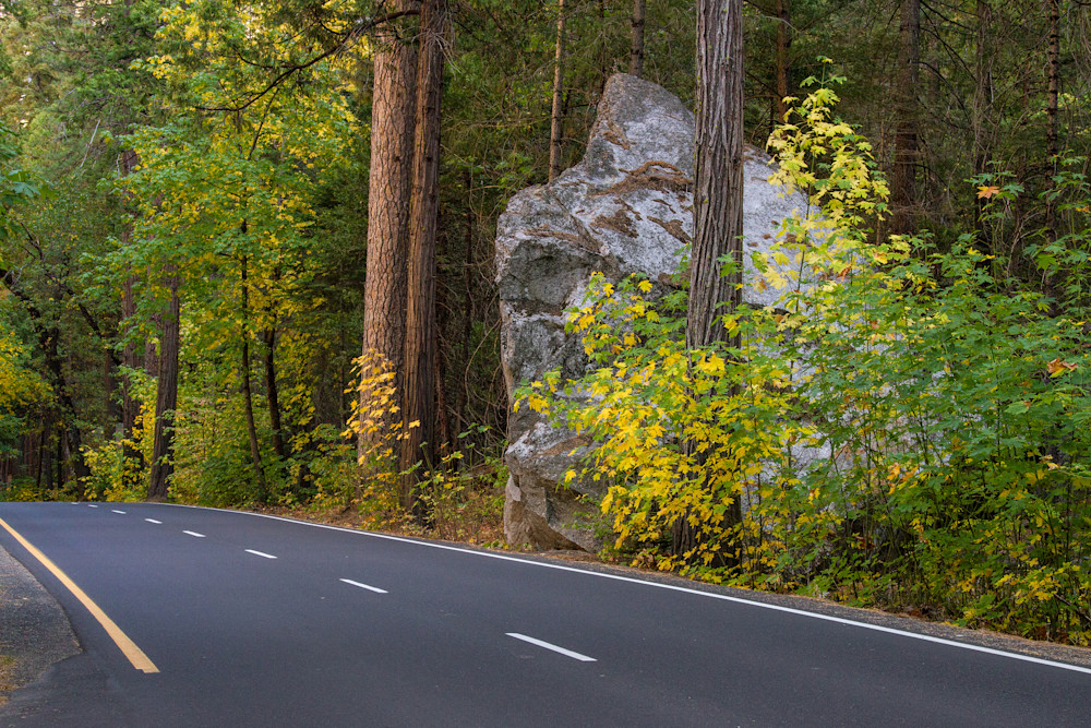 Driving Through Yosemite Art | Leiken Photography