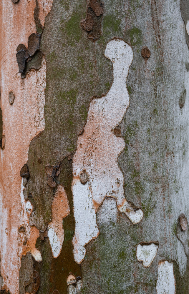 Climb Photography Art | racheljeraffi