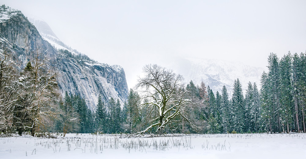 The Luminous Serenede Of Quiet Photography Art | Joshua Smith Photo