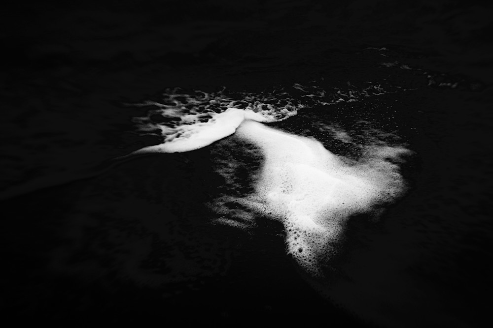 Shark Photography Art | racheljeraffi