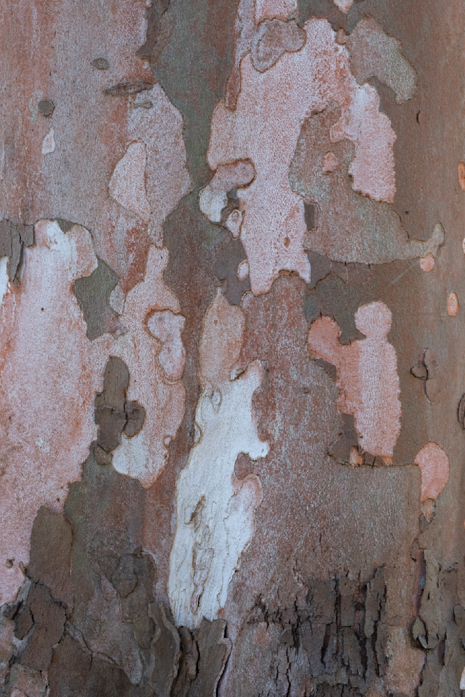 Gathering Photography Art | racheljeraffi