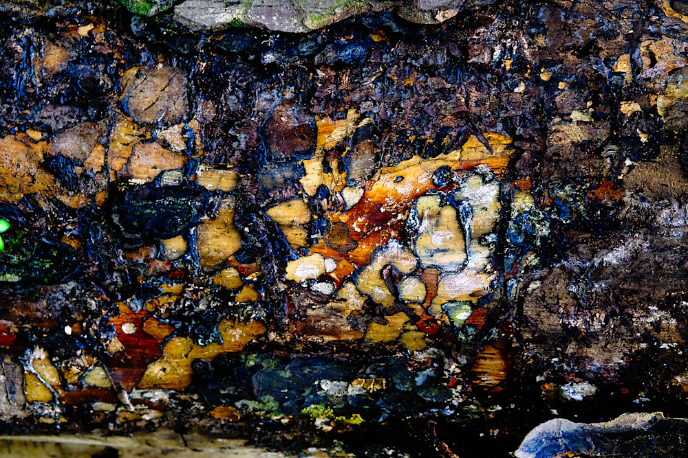 Treasure Photography Art | racheljeraffi